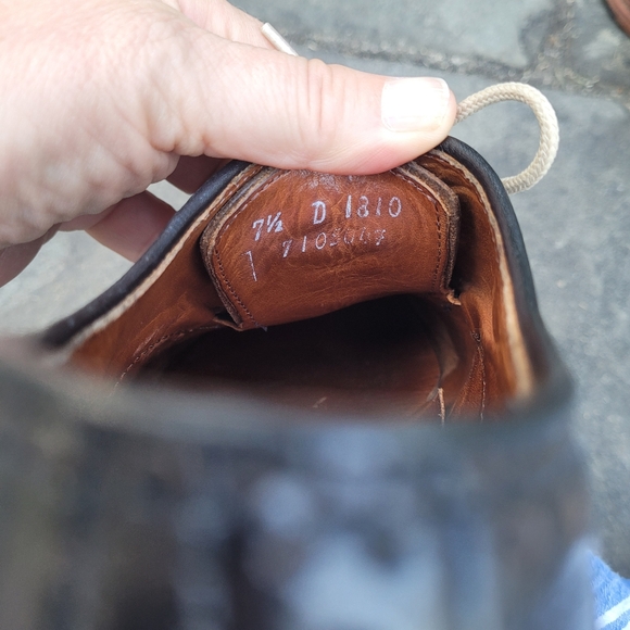 Allen Edmonds  Alumnus wingtip  oxford  shoes